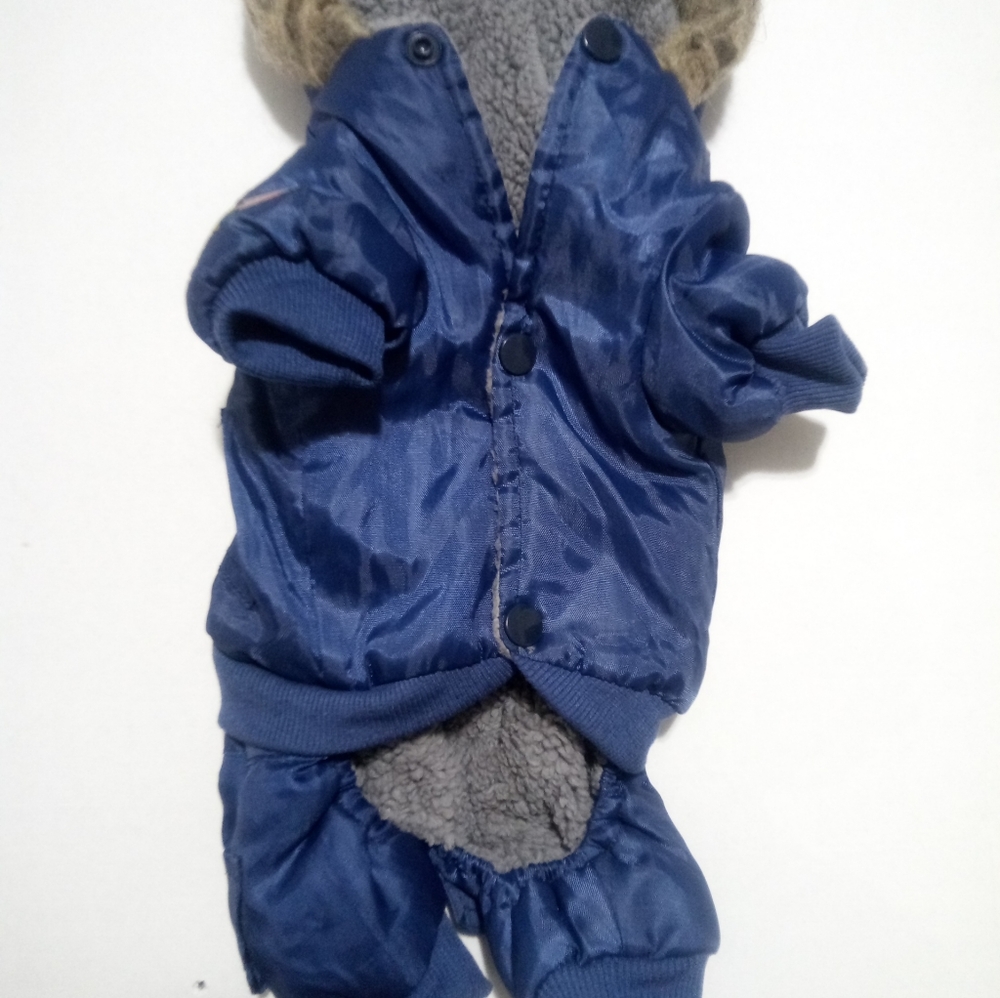 Small dog coat - Picture 2 of 4